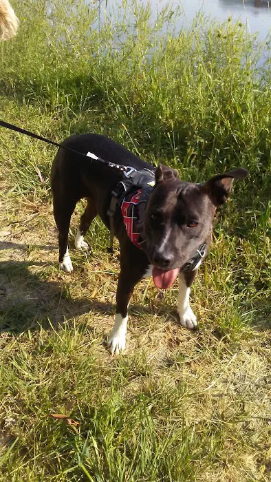 Dr. James Himmelberg, DVM Picture 8