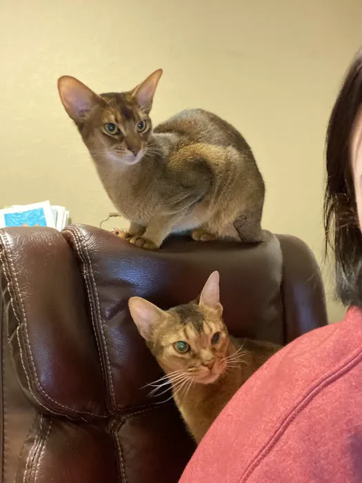 Dr. James Himmelberg, DVM Picture 10