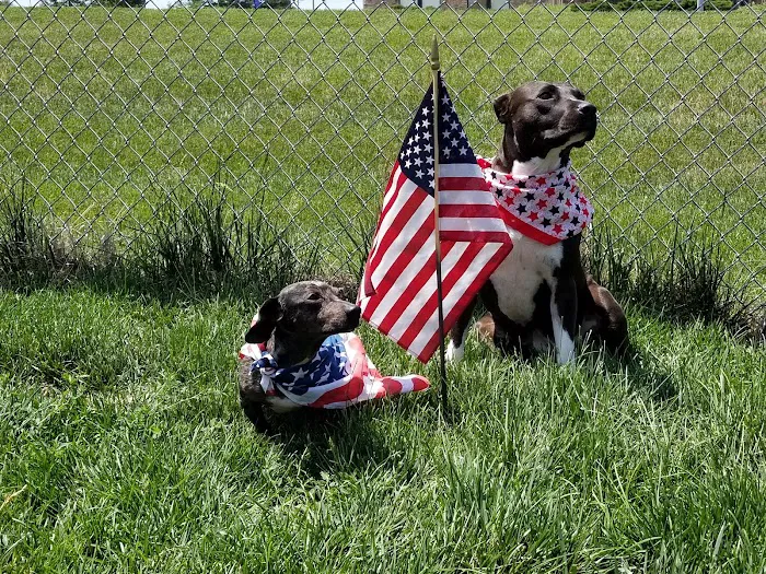 Vintage Heights Veterinary Hospital Picture 1