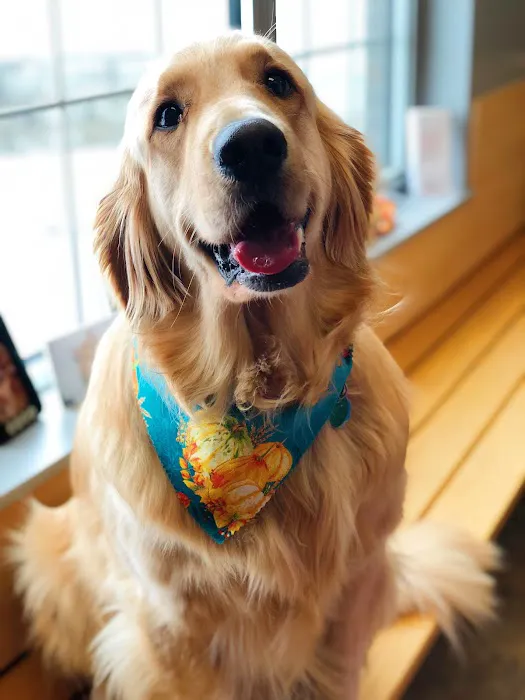 Vintage Heights Veterinary Hospital Picture 5