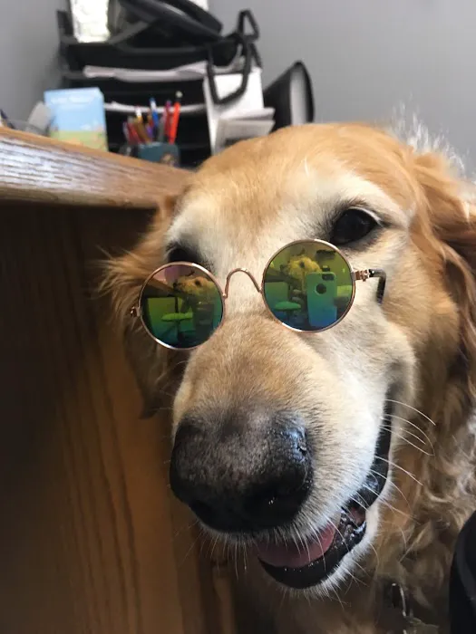 Vintage Heights Veterinary Hospital Picture 10