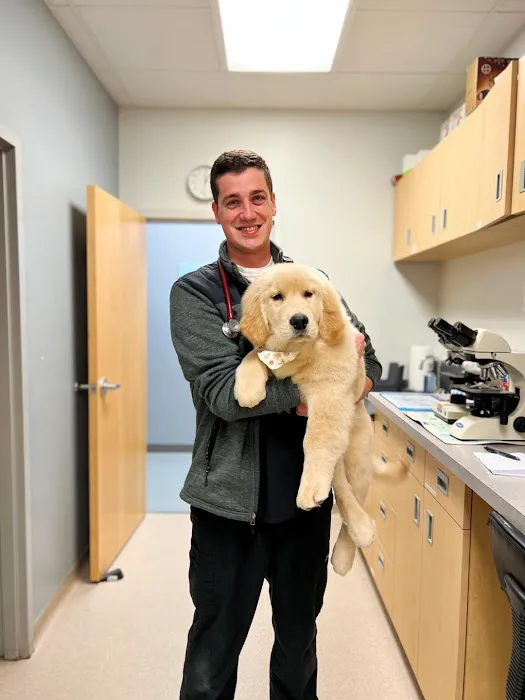 Vintage Heights Veterinary Hospital Picture 9