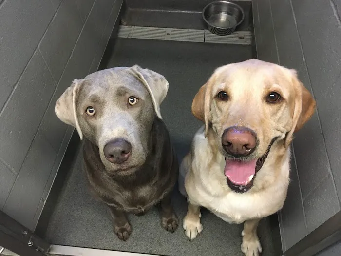 Vintage Heights Veterinary Hospital Picture 8