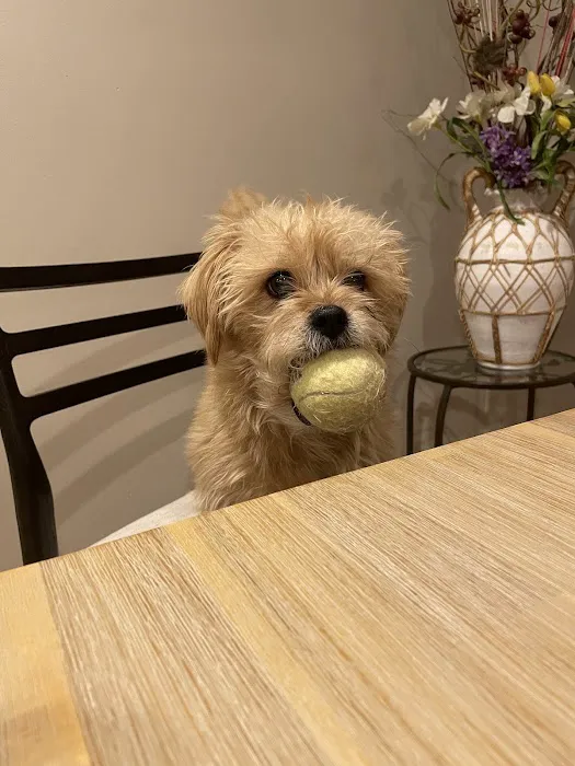 Antelope Creek Veterinary Healthcare Center Picture 8