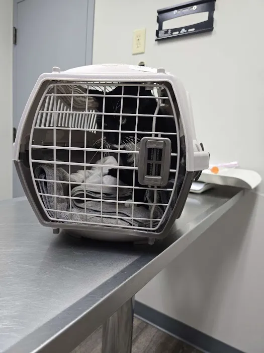 Kansas City Animal Emergency Picture 5