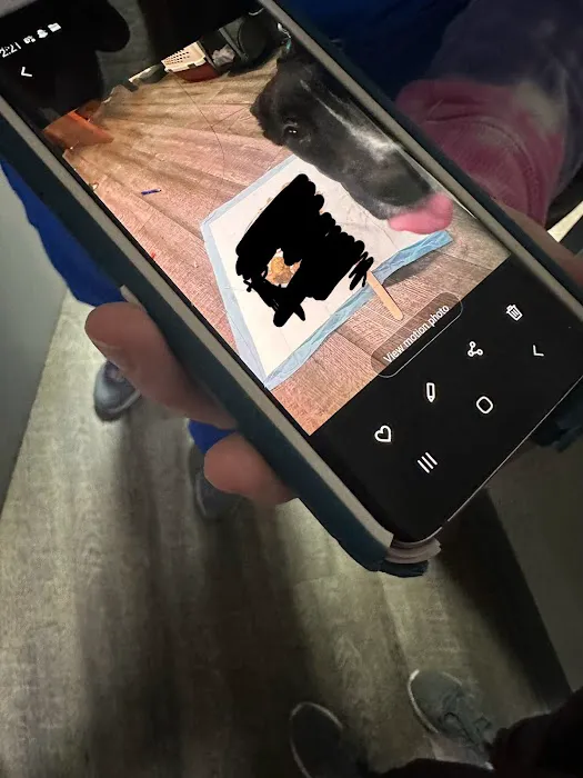 Kansas City Animal Emergency Picture 10