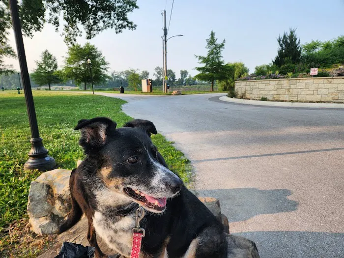 Platte Woods Animal Hospital Picture 3