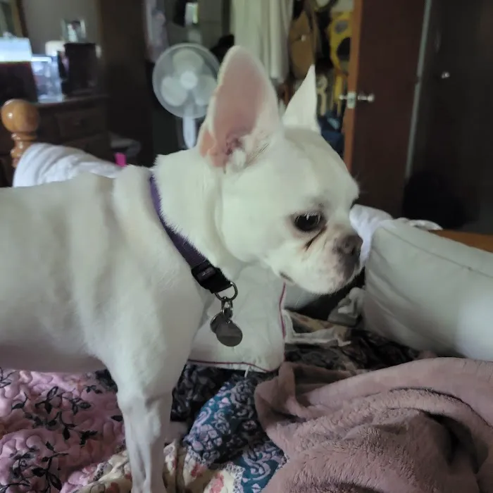 Platte Woods Animal Hospital Picture 1