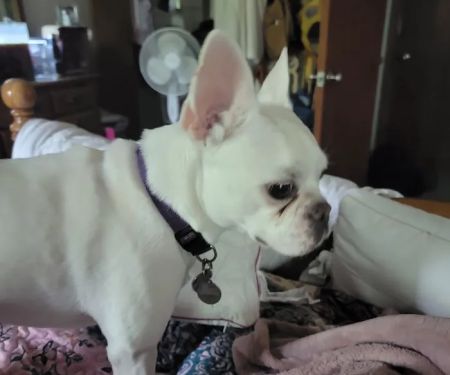 Platte Woods Animal Hospital