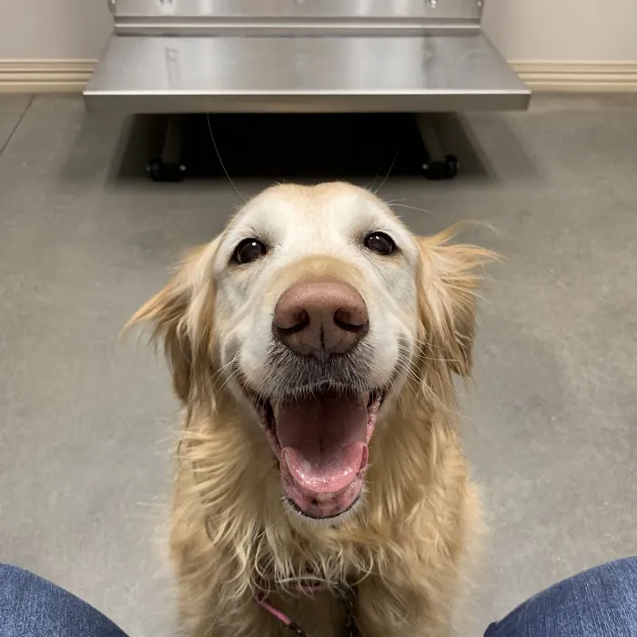 Platte Woods Animal Hospital Picture 5