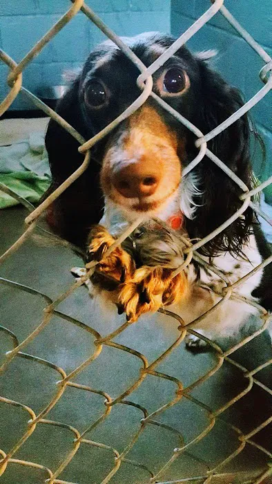 Platte Woods Animal Hospital Picture 6