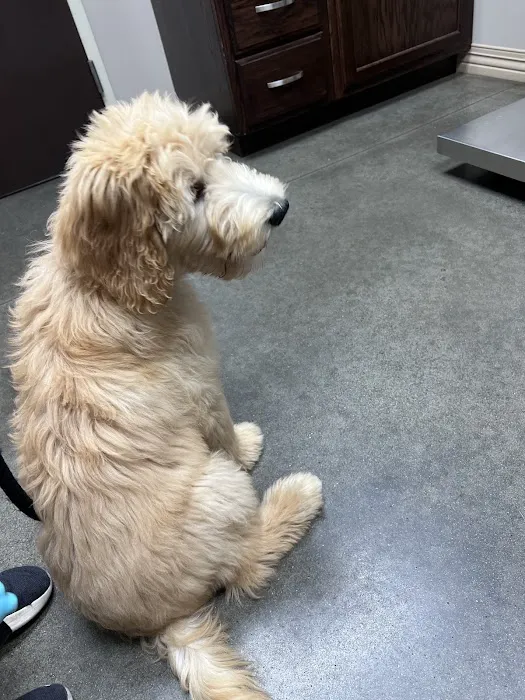 Platte Woods Animal Hospital Picture 7