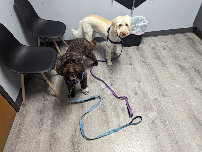 Picture Hills Pet Hospital Picture 2