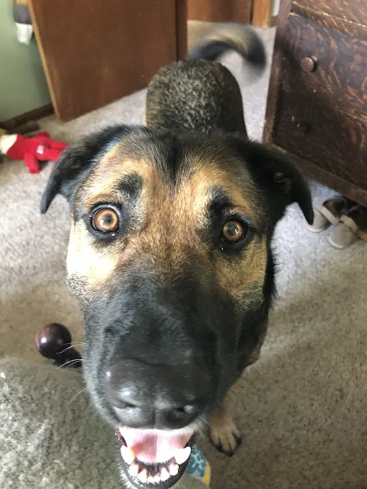 Picture Hills Pet Hospital Picture 3