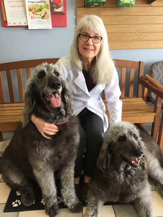 Picture Hills Pet Hospital Picture 10