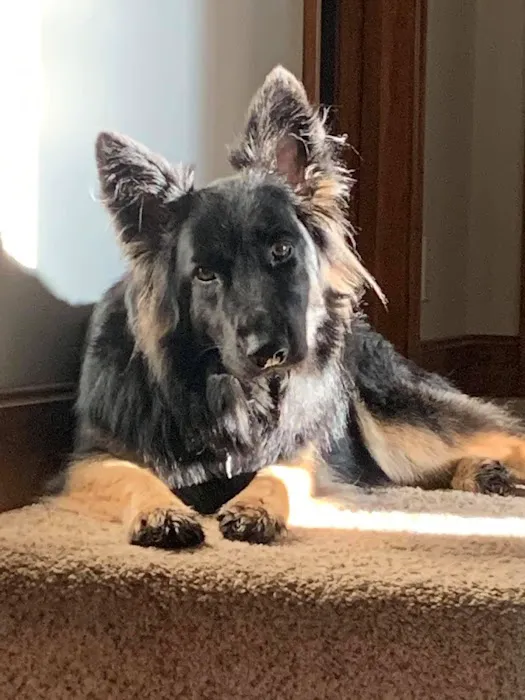 Picture Hills Pet Hospital Picture 9