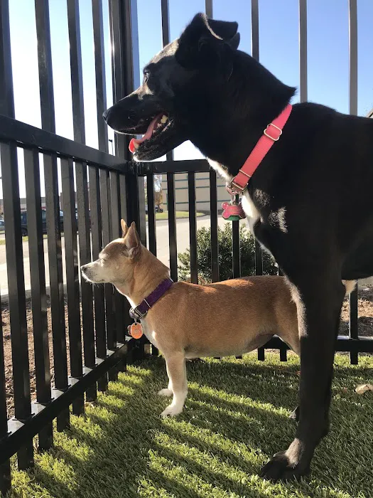 Taylor Animal Hospital of Parkville Picture 2