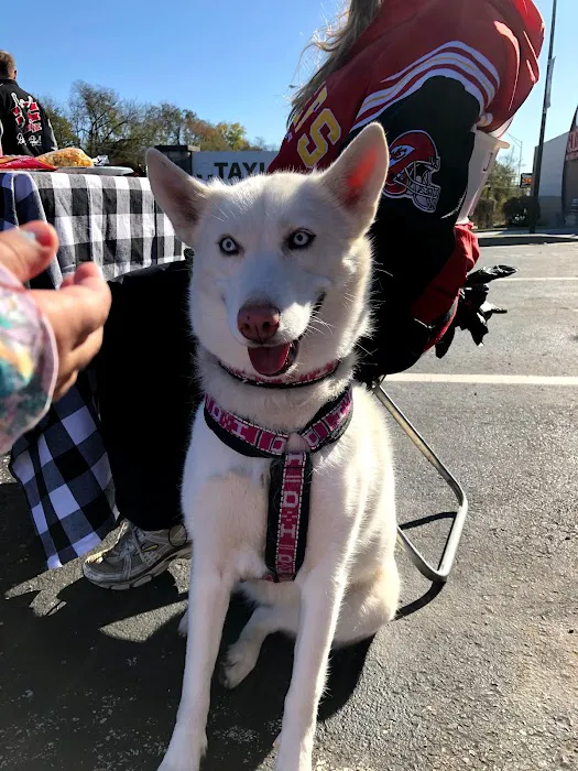 Taylor Animal Hospital of Parkville Picture 7
