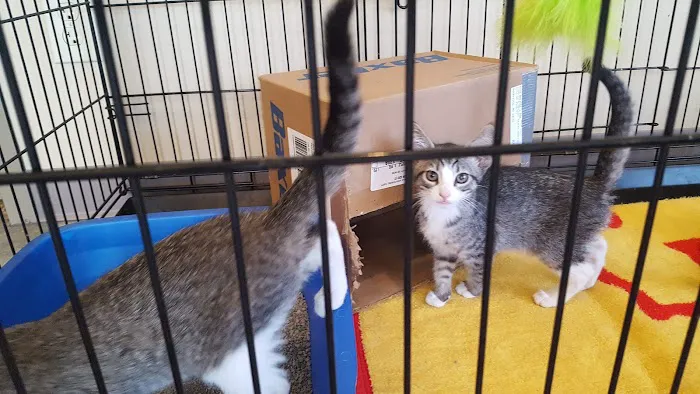 Parkville Heights Animal Hospital Picture 1