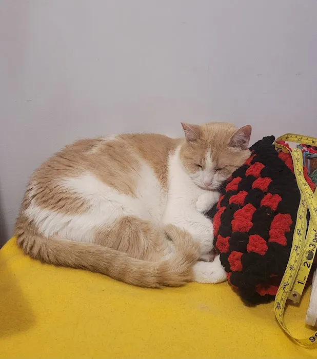 Parkville Heights Animal Hospital Picture 3