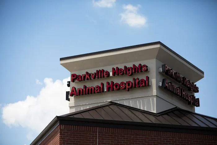Parkville Heights Animal Hospital Picture 9
