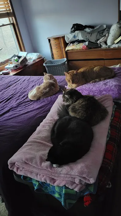 Rose Melissa DVM Picture 1