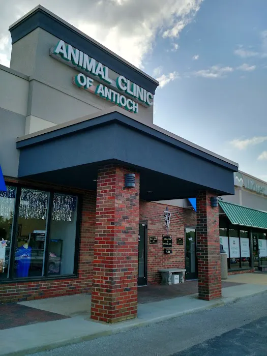 Animal Clinic of Antioch Annex Picture 1