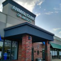Animal Clinic of Antioch Annex ico