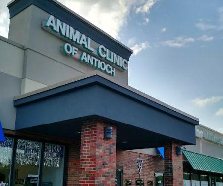 Animal Clinic of Antioch Annex