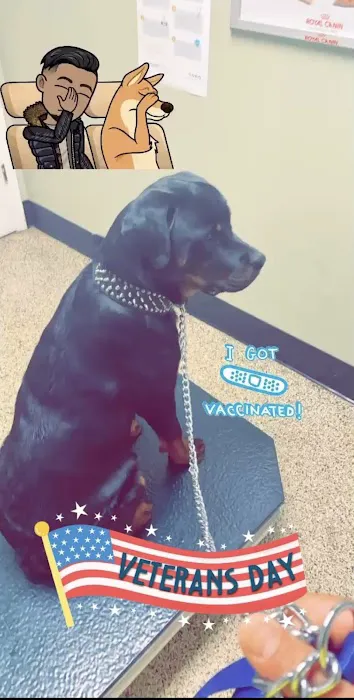 Animal Clinic of Antioch Annex Picture 6