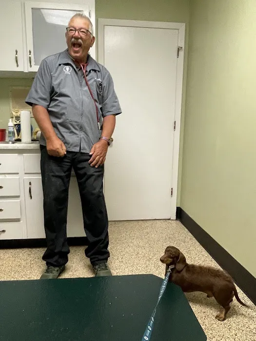 Animal Clinic of Antioch Annex Picture 4