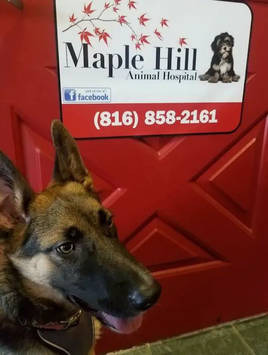 Maple Hill Animal Hospital Picture 6