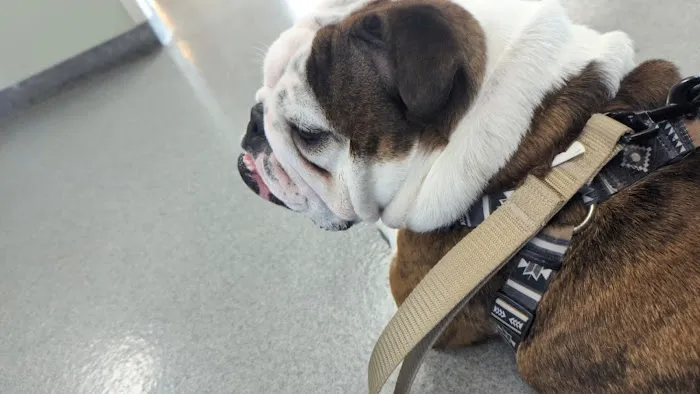 Fort Leavenworth Veterinary Treatment Facility Picture 2