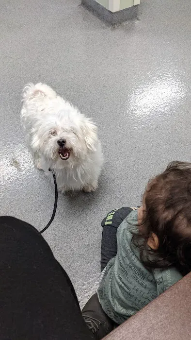 Fort Leavenworth Veterinary Treatment Facility Picture 5