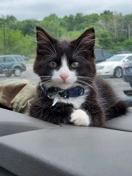 Fort Leavenworth Veterinary Treatment Facility Picture 7