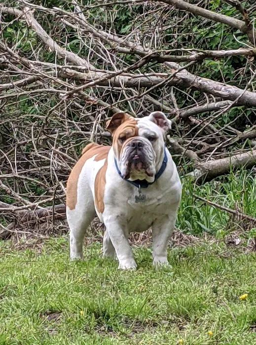 Fort Leavenworth Veterinary Treatment Facility Picture 8
