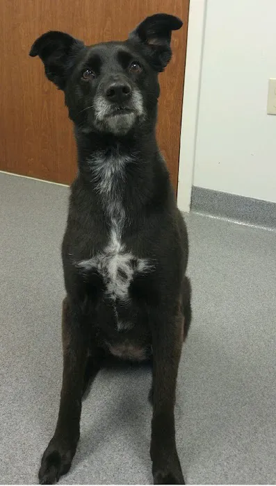 Fort Leavenworth Veterinary Treatment Facility Picture 10