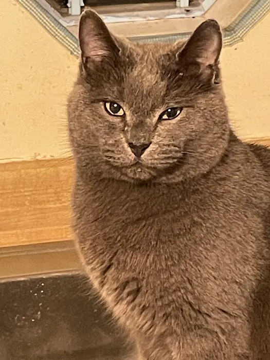 Pioneer Animal Hospital Picture 2