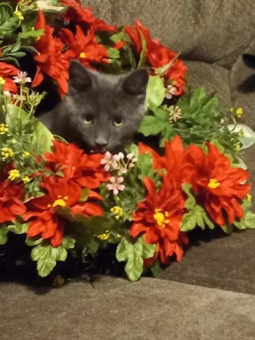 Loving Care Animal Health Picture 2