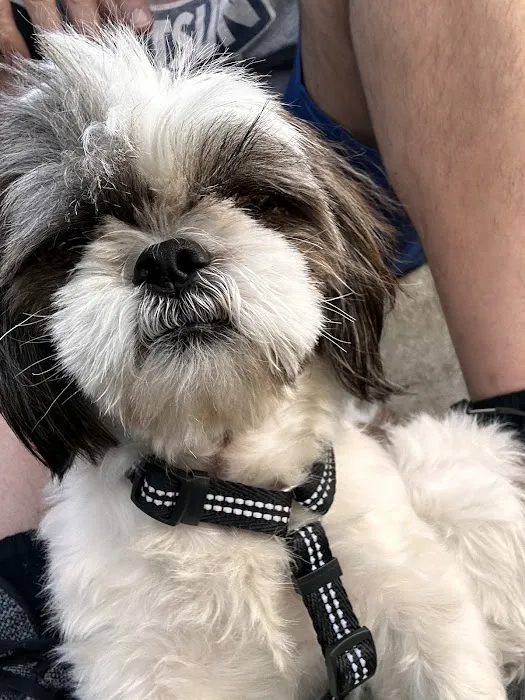 Loving Care Animal Health Picture 6