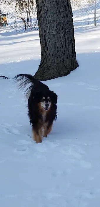 Loving Care Animal Health Picture 9