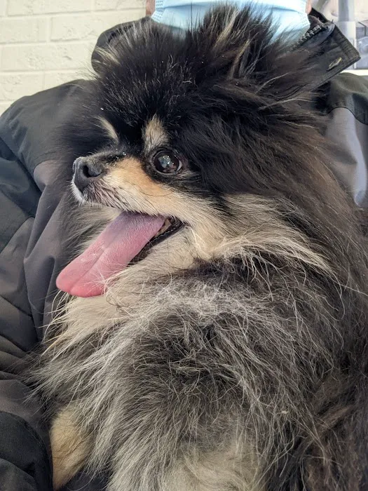 Claycomo Animal Hospital Picture 3