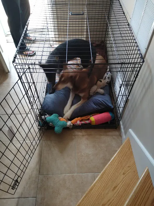 Claycomo Animal Hospital Picture 1