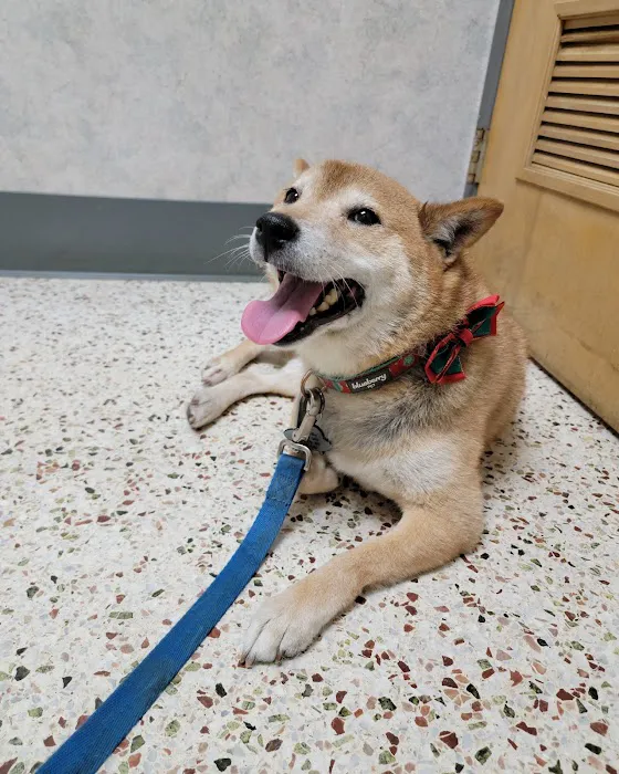 Claycomo Animal Hospital Picture 7