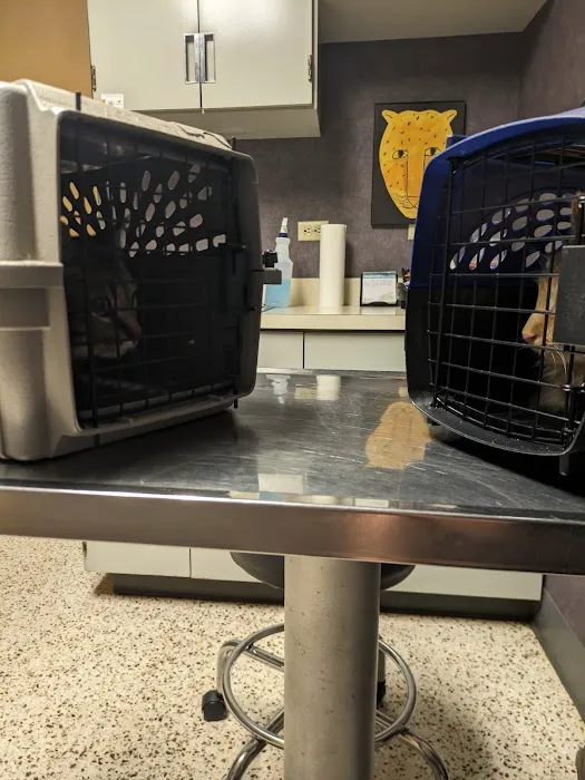 Claycomo Animal Hospital Picture 5