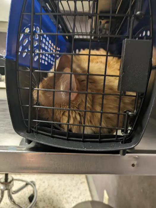 Claycomo Animal Hospital Picture 4