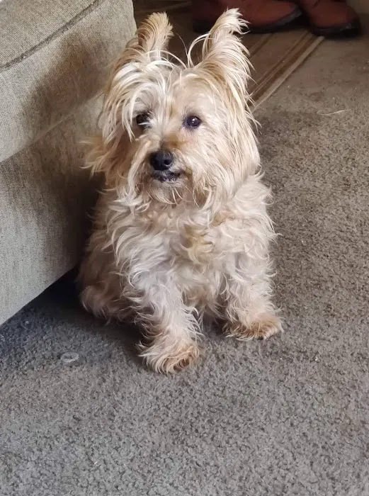 Foxwood Animal Hospital Picture 1