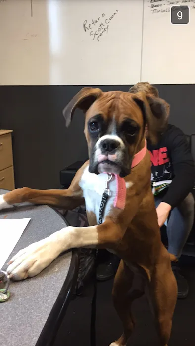 Foxwood Animal Hospital Picture 4