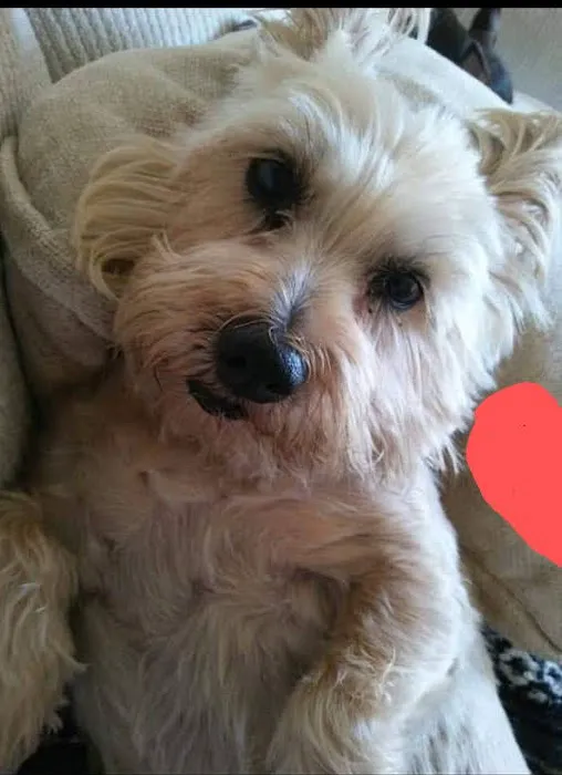 Foxwood Animal Hospital Picture 3