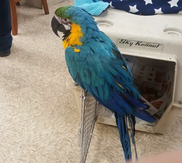 Foxwood Animal Hospital Picture 5